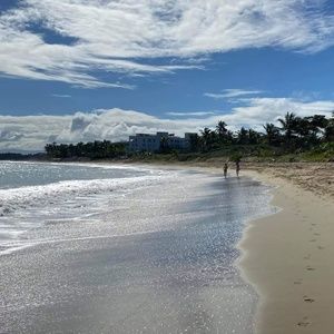 Meet your Posher, Lorne